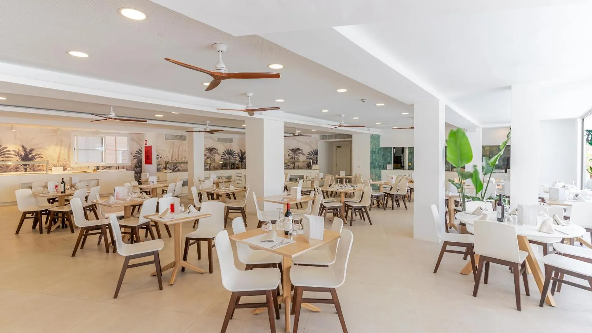 ****  Hotel Principe Wellness&Spa Playa de Palma  Spanien