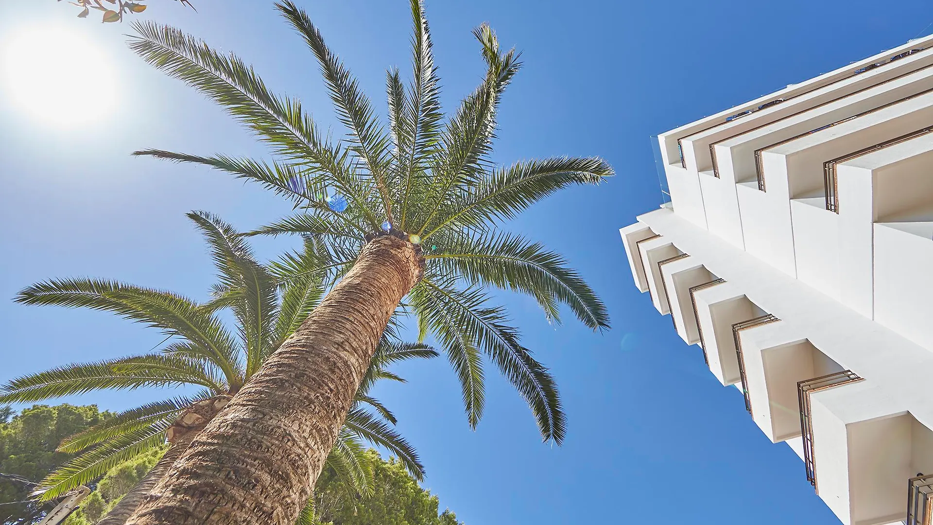 Hotel Principe Wellness&Spa Playa de Palma